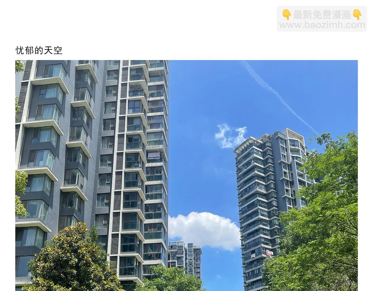 第389话 师父的视频会议 第14页