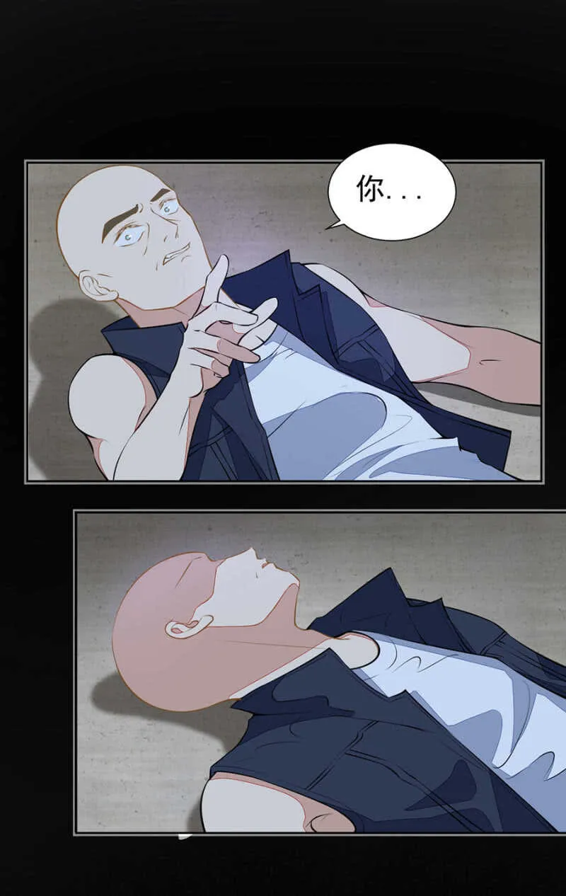 别怕,我来了 第11页