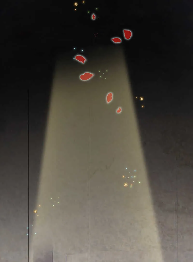 别怕,我来了 第24页