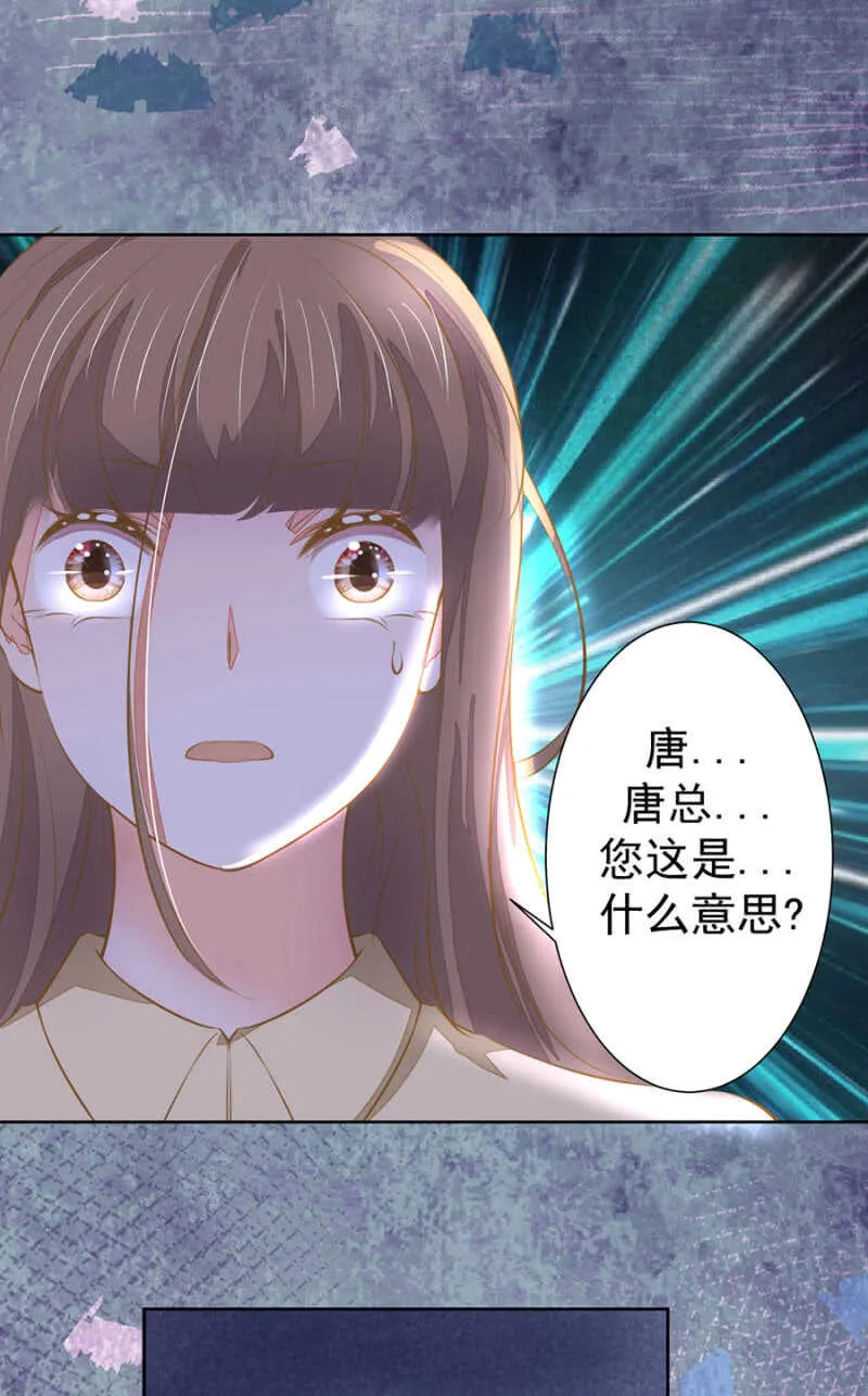 唐总您什么意思 第20页
