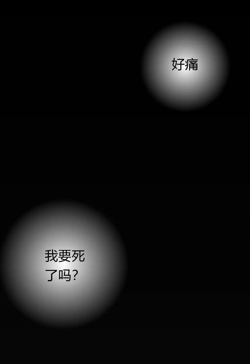 012 力的作用是相互的 第25页