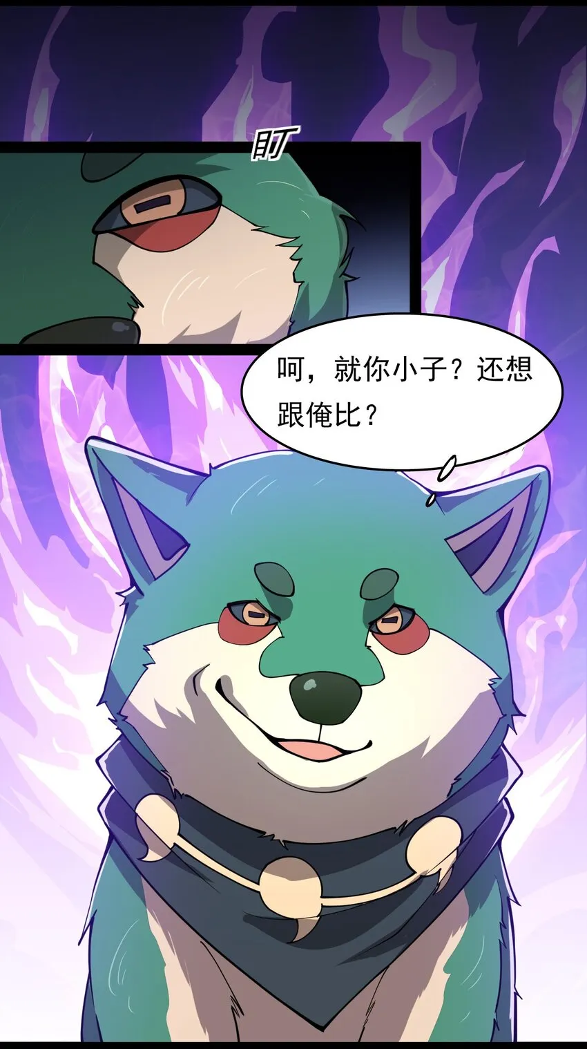 016 狗？蛤？傻傻分不清楚 第6页