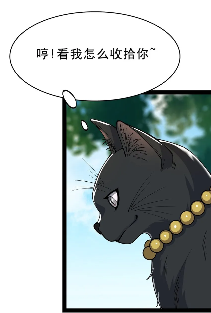 033 简直是无懈可击 第19页