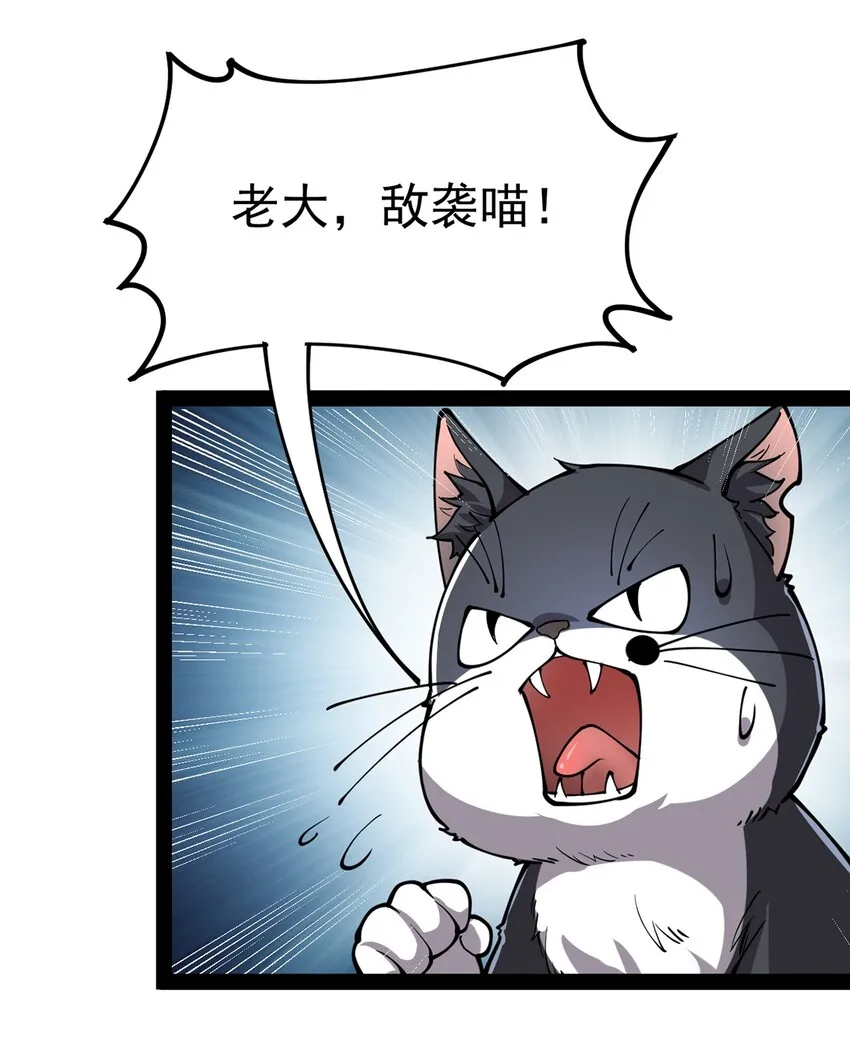 034 喵喵喵？？ 第34页