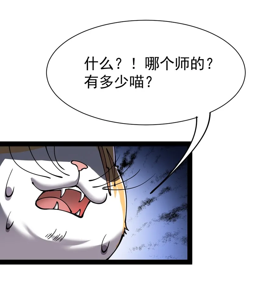 034 喵喵喵？？ 第35页