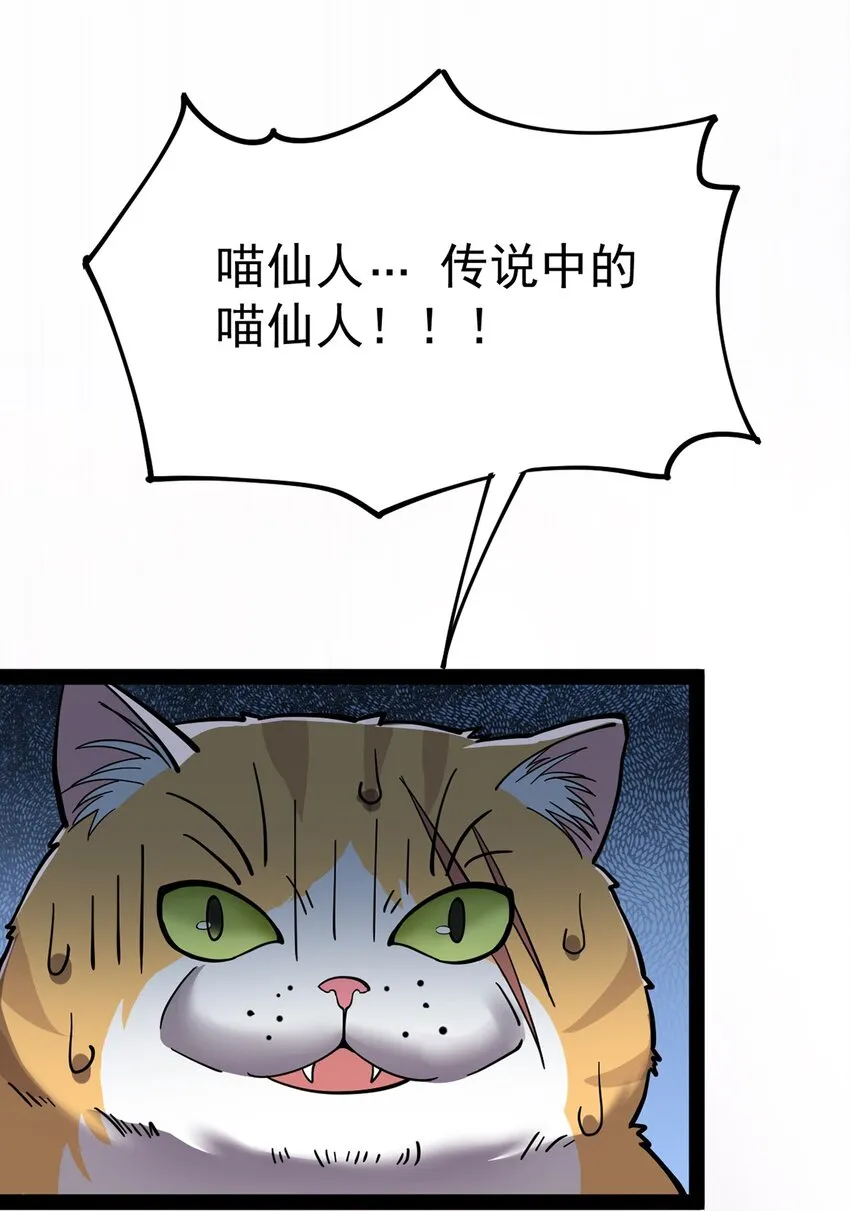 034 喵喵喵？？ 第44页