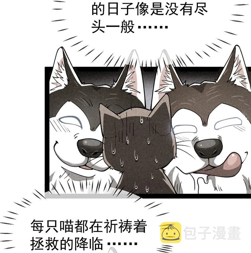 035 你们到底有什么阴谋 第4页