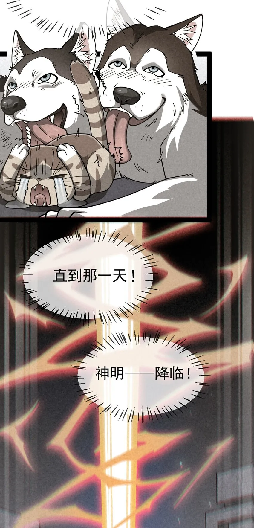 035 你们到底有什么阴谋 第5页