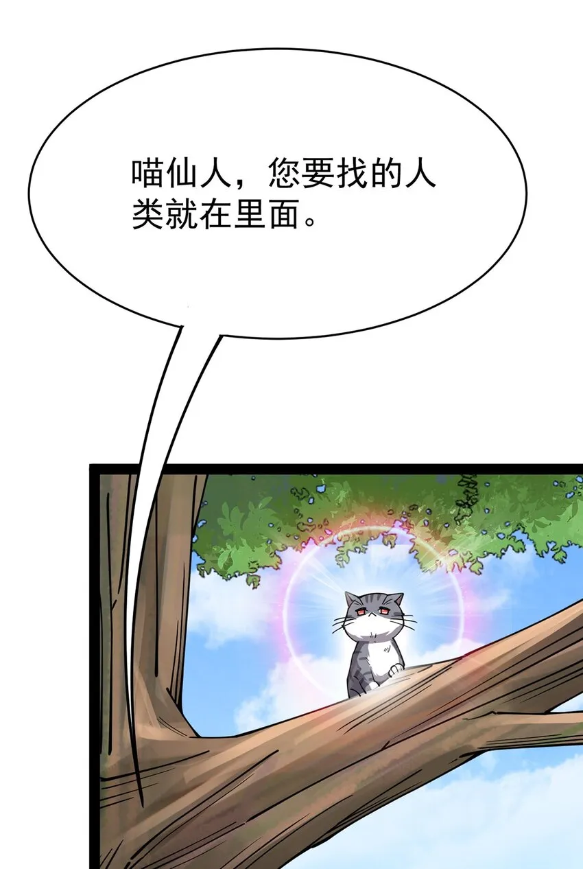 035 你们到底有什么阴谋 第38页