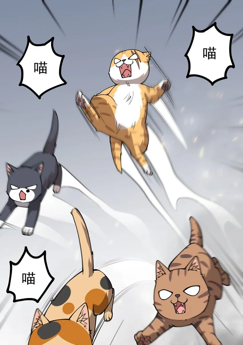 036 喵仙人出场！ 第9页