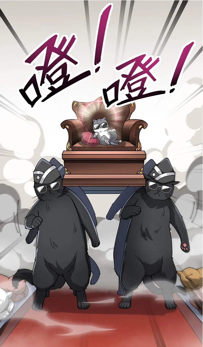 036 喵仙人出场！ 第15页
