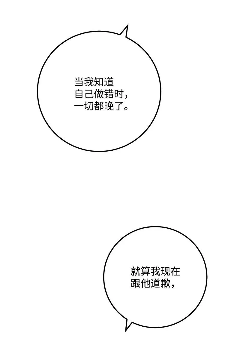 66 表面和解 第20页