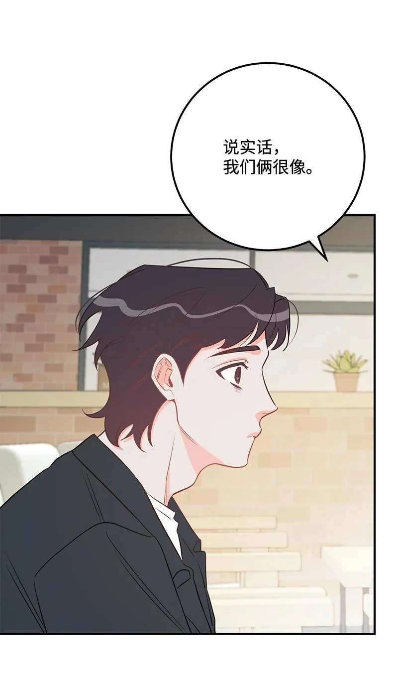 66 表面和解 第51页