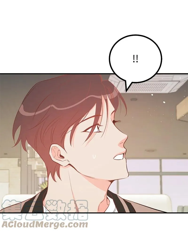 66 表面和解 第73页