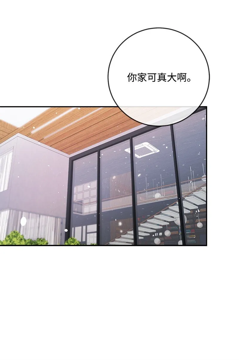 81圣诞节 第13页
