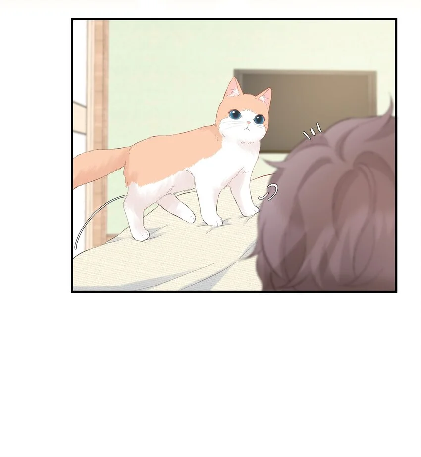 049 挑事 第4页