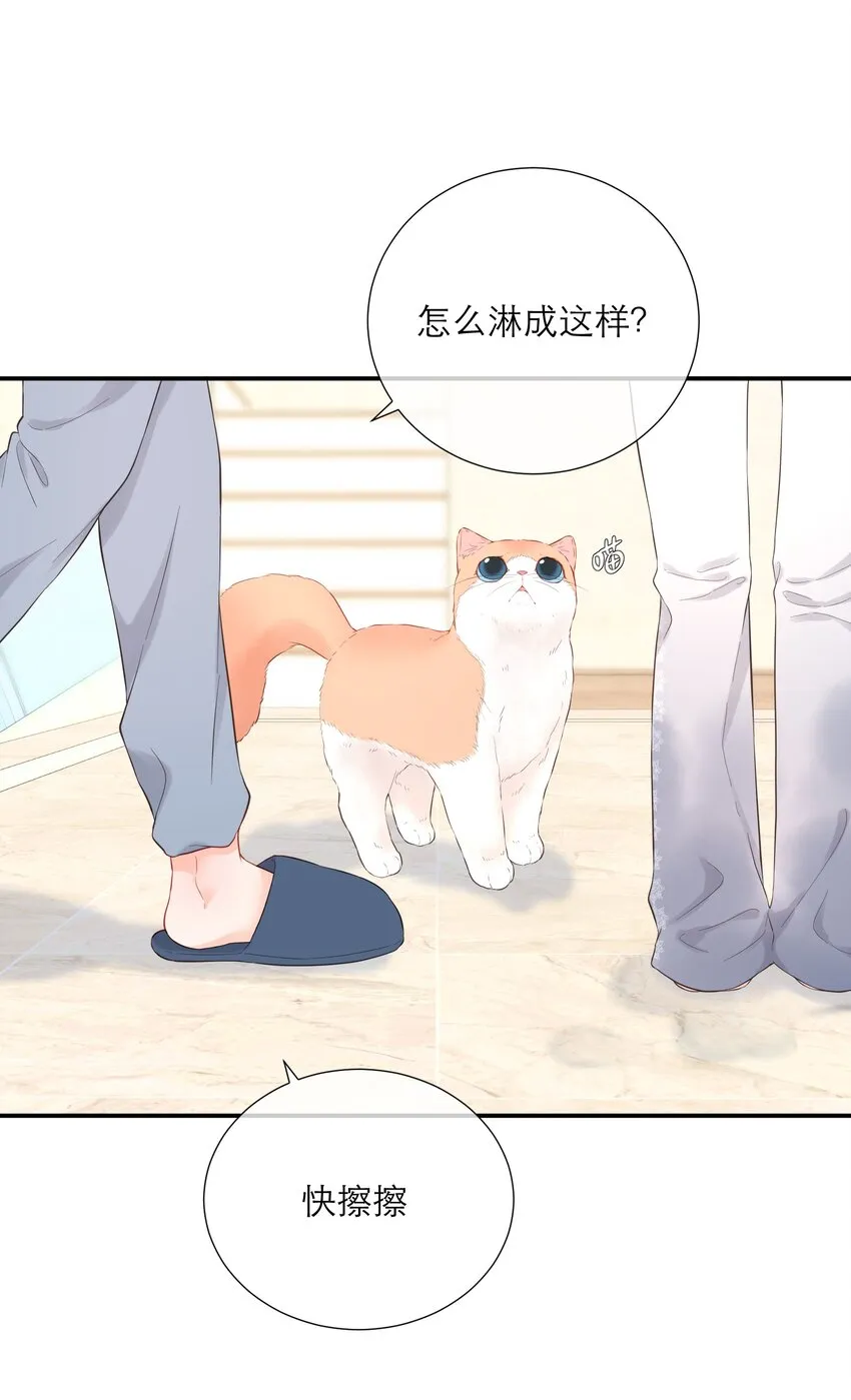 044 解约 第12页