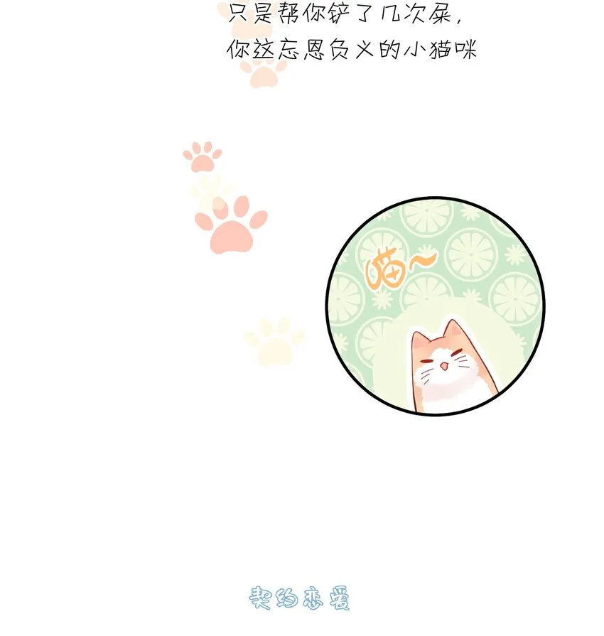 040 礼物 第46页