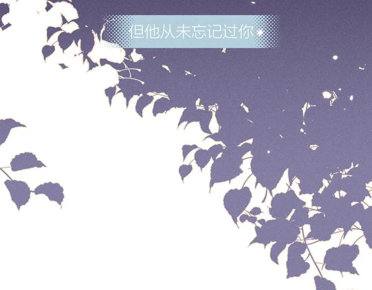 完结篇 再也不分黎 第64页