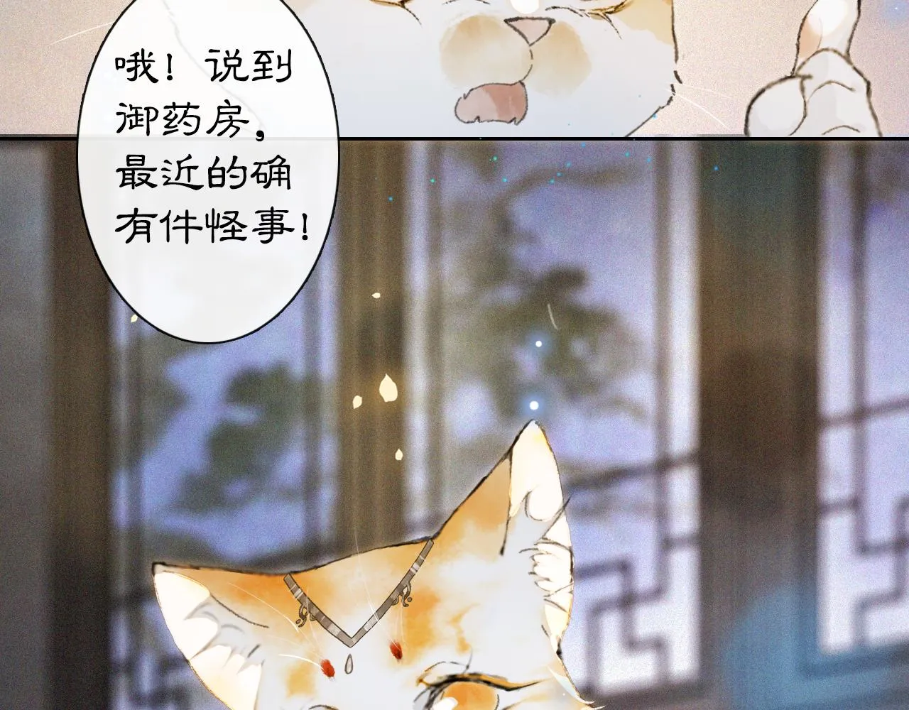 第10话 药柜有诡？ 第35页