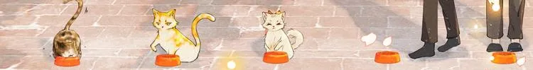 喵喵图鉴NO.2 第16页