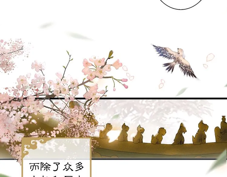第1话 御猫的神秘生活 第9页