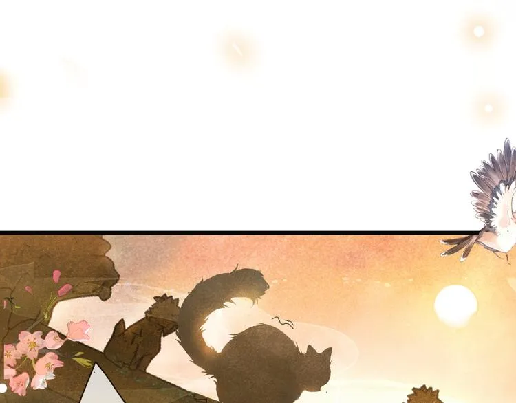 第1话 御猫的神秘生活 第11页