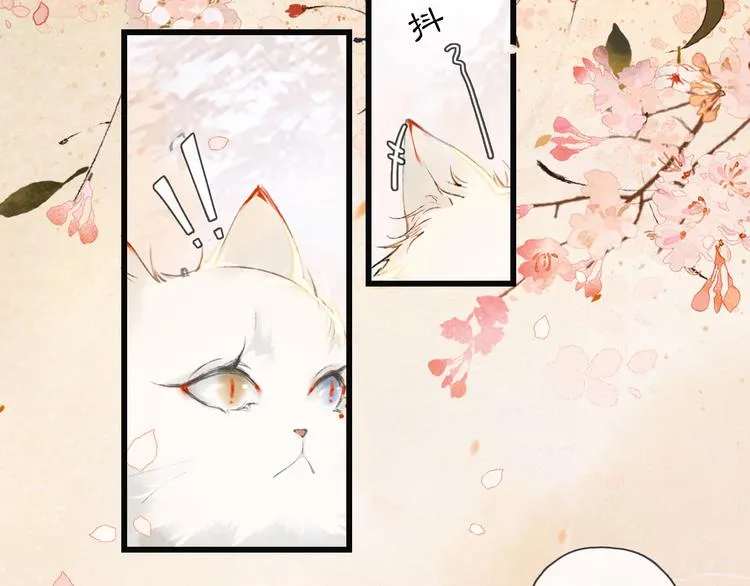 第1话 御猫的神秘生活 第13页
