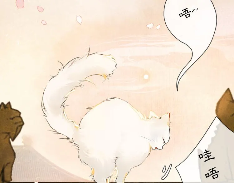 第1话 御猫的神秘生活 第14页