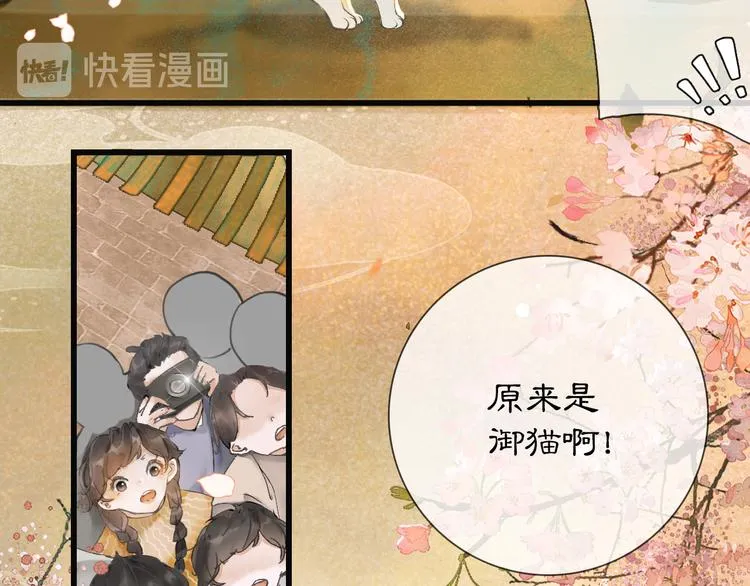 第1话 御猫的神秘生活 第15页