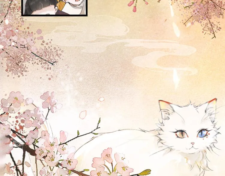 第1话 御猫的神秘生活 第16页