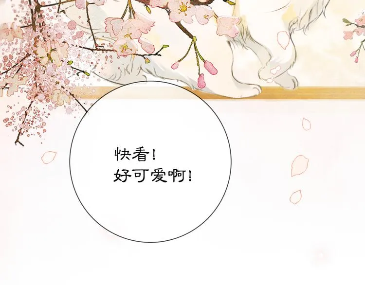 第1话 御猫的神秘生活 第17页