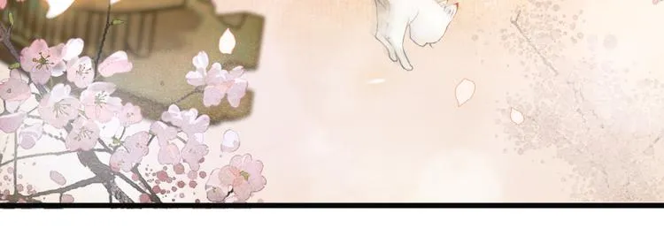 第1话 御猫的神秘生活 第19页