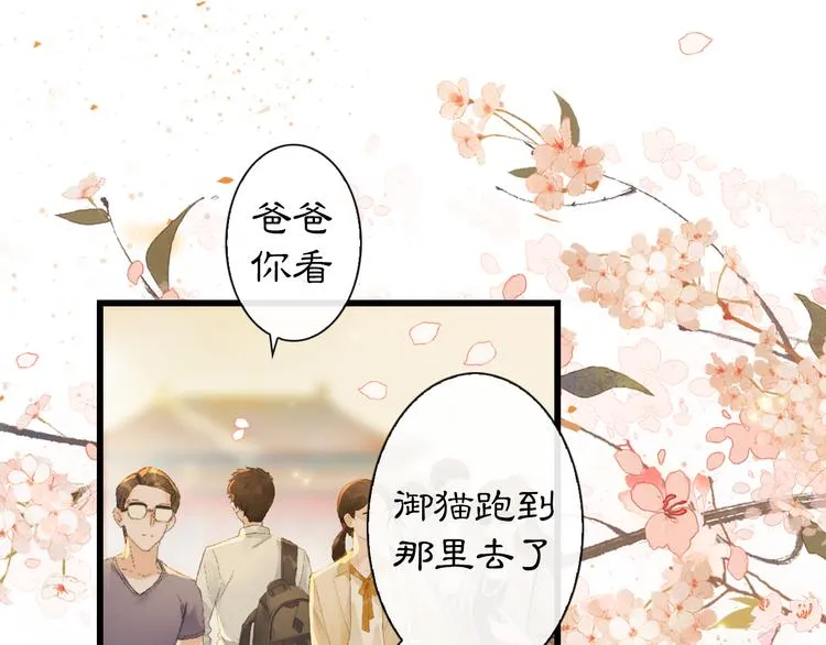 第1话 御猫的神秘生活 第20页