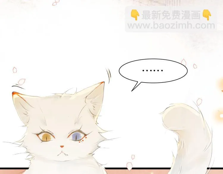 第1话 御猫的神秘生活 第24页
