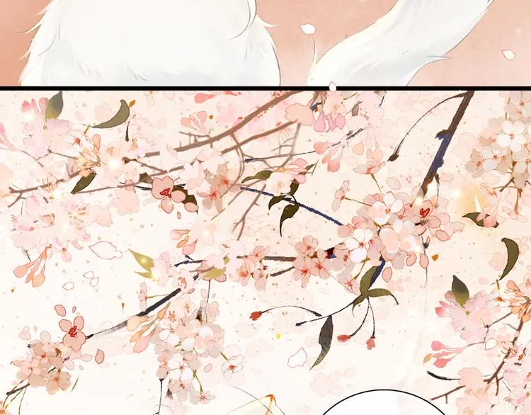 第1话 御猫的神秘生活 第25页