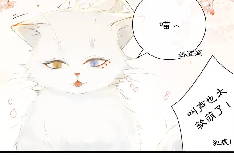 第1话 御猫的神秘生活 第26页