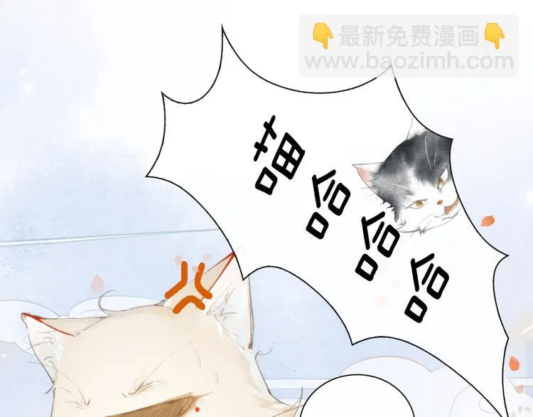 第1话 御猫的神秘生活 第27页