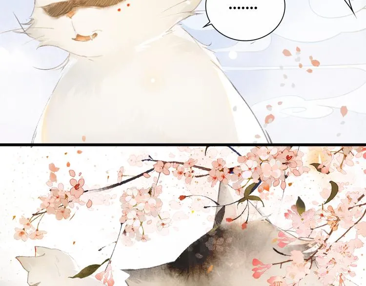 第1话 御猫的神秘生活 第28页