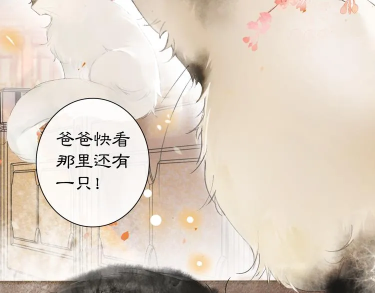 第1话 御猫的神秘生活 第29页