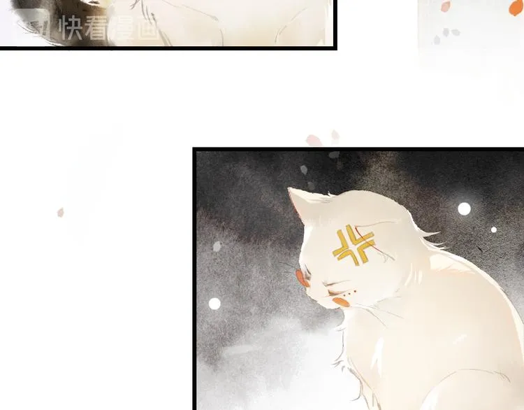 第1话 御猫的神秘生活 第31页