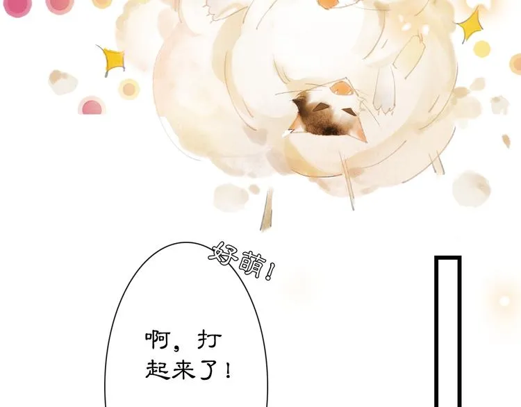 第1话 御猫的神秘生活 第34页