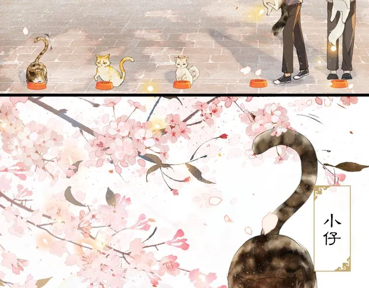 第1话 御猫的神秘生活 第43页