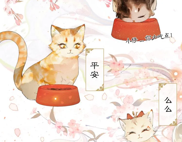 第1话 御猫的神秘生活 第44页