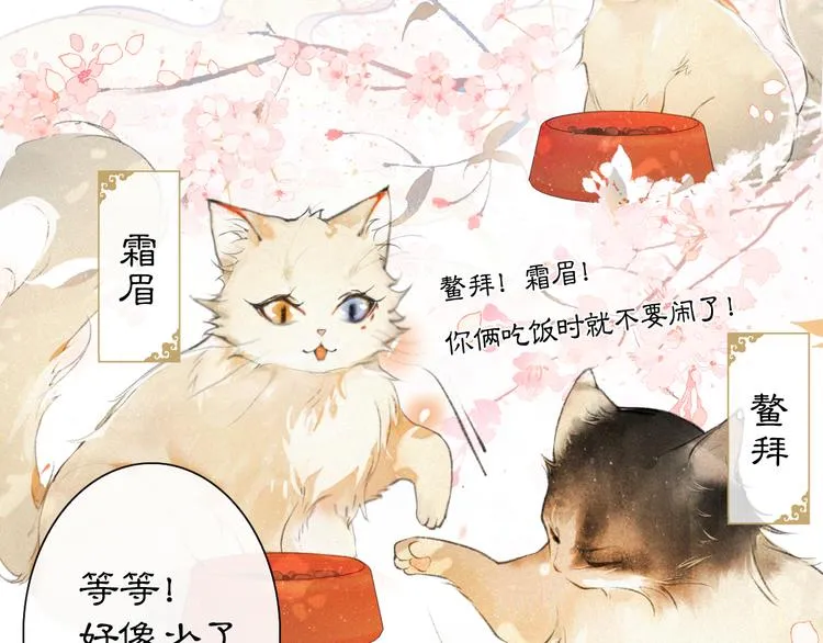 第1话 御猫的神秘生活 第45页