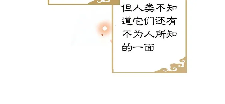第1话 御猫的神秘生活 第48页