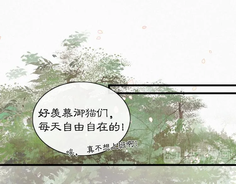 第1话 御猫的神秘生活 第49页