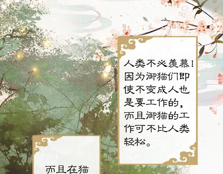 第1话 御猫的神秘生活 第52页