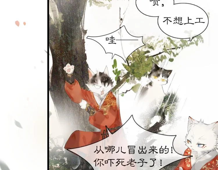 第1话 御猫的神秘生活 第61页