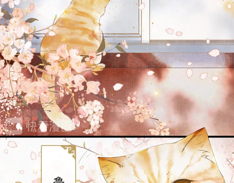 第1话 御猫的神秘生活 第66页